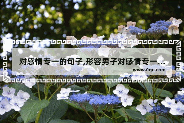 对感情专一的句子,形容男子对感情专一句子