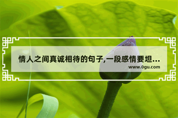 情人之间真诚相待的句子,一段感情要坦诚相待的句子