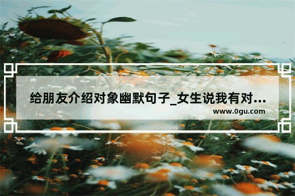 给朋友介绍对象幽默句子_女生说我有对象怎么幽默回答