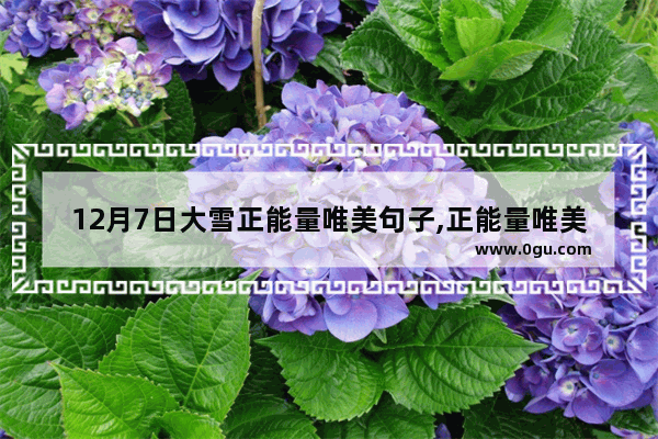 12月7日大雪正能量唯美句子,正能量唯美短句子