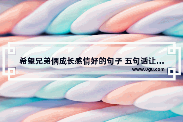 希望兄弟俩成长感情好的句子 五句话让人感情顺利的句子