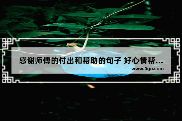 感谢师傅的付出和帮助的句子 好心情帮助别人的句子