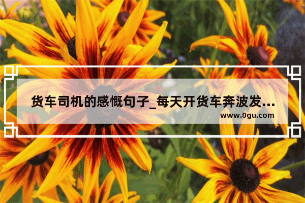 货车司机的感慨句子_每天开货车奔波发朋友圈的句子