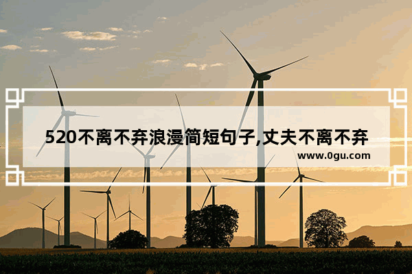520不离不弃浪漫简短句子,丈夫不离不弃的爱情句子
