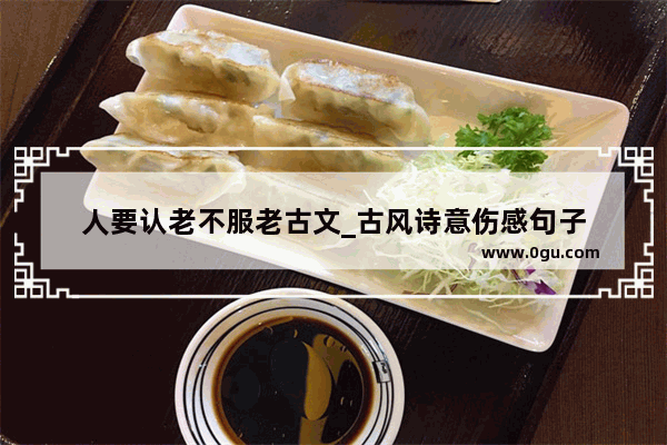 人要认老不服老古文_古风诗意伤感句子