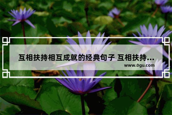 互相扶持相互成就的经典句子 互相扶持走到最后暖心句子