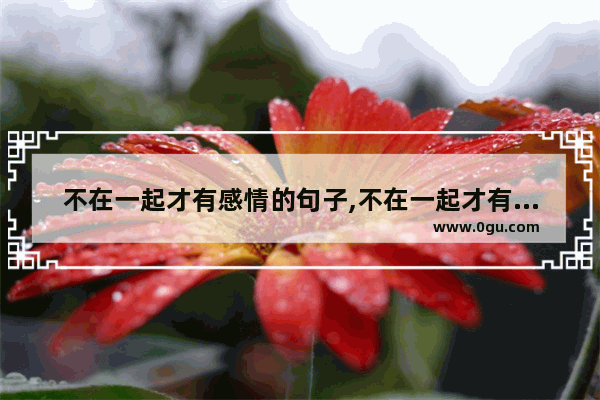 不在一起才有感情的句子,不在一起才有感情的句子
