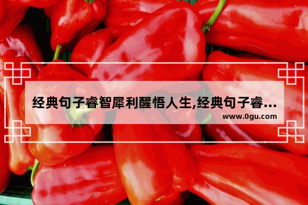 经典句子睿智犀利醒悟人生,经典句子睿智犀利醒悟人生