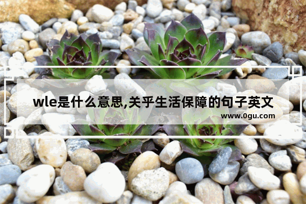 wle是什么意思,关乎生活保障的句子英文