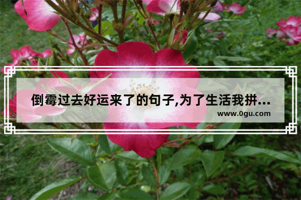 倒霉过去好运来了的句子,为了生活我拼搏的句子