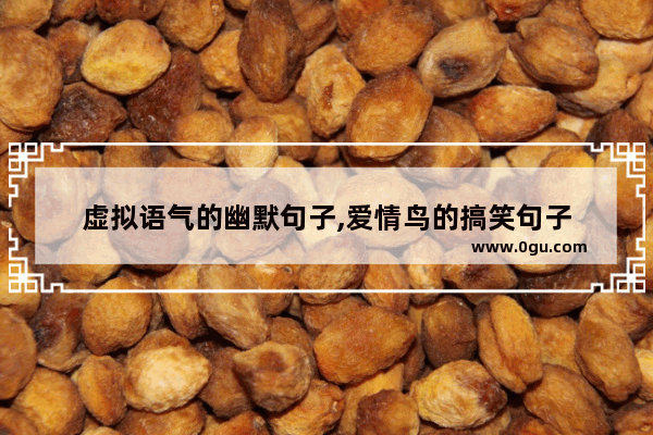 虚拟语气的幽默句子,爱情鸟的搞笑句子