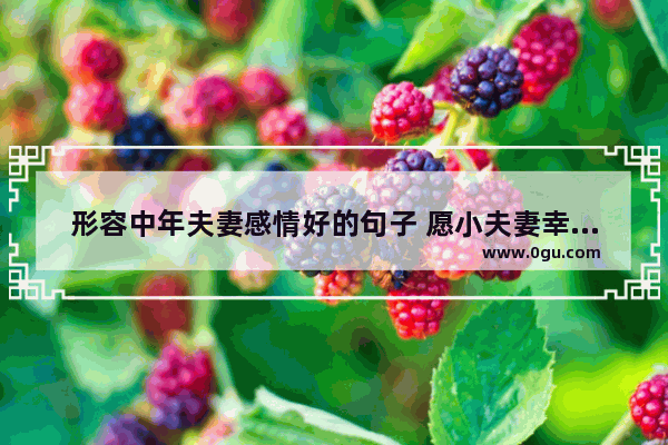 形容中年夫妻感情好的句子 愿小夫妻幸福快乐的句子