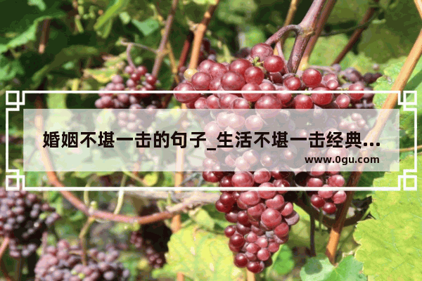 婚姻不堪一击的句子_生活不堪一击经典句子