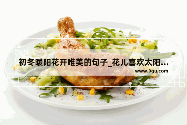 初冬暖阳花开唯美的句子_花儿喜欢太阳的句子有哪些