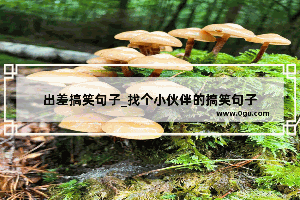 出差搞笑句子_找个小伙伴的搞笑句子