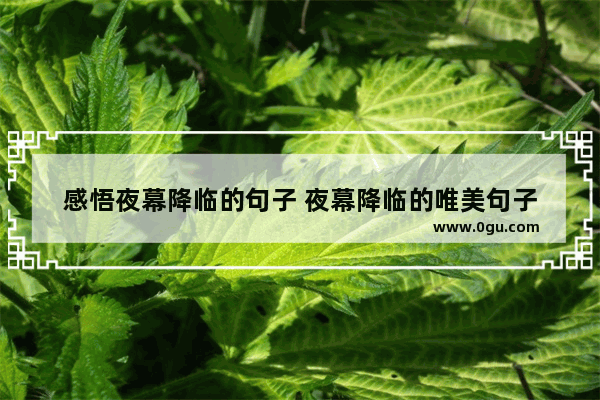 感悟夜幕降临的句子 夜幕降临的唯美句子