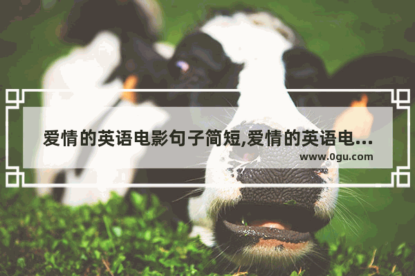 爱情的英语电影句子简短,爱情的英语电影句子简短