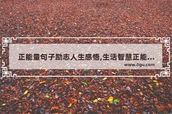 正能量句子励志人生感悟,生活智慧正能量的句子励志