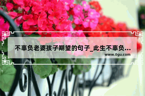 不辜负老婆孩子期望的句子_此生不辜负彼此的句子