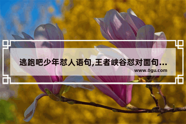 逃跑吧少年怼人语句,王者峡谷怼对面句子搞笑