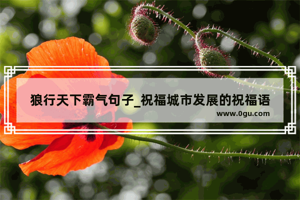 狼行天下霸气句子_祝福城市发展的祝福语