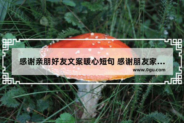 感谢亲朋好友文案暖心短句 感谢朋友家里人的句子暖心