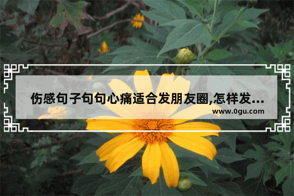 伤感句子句句心痛适合发朋友圈,怎样发出伤感的朋友圈句子