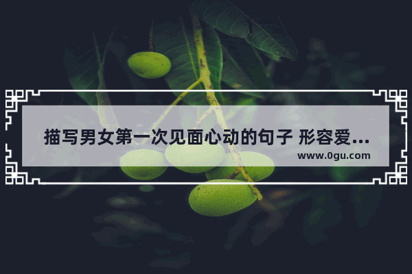 描写男女第一次见面心动的句子 形容爱情最初的句子唯美