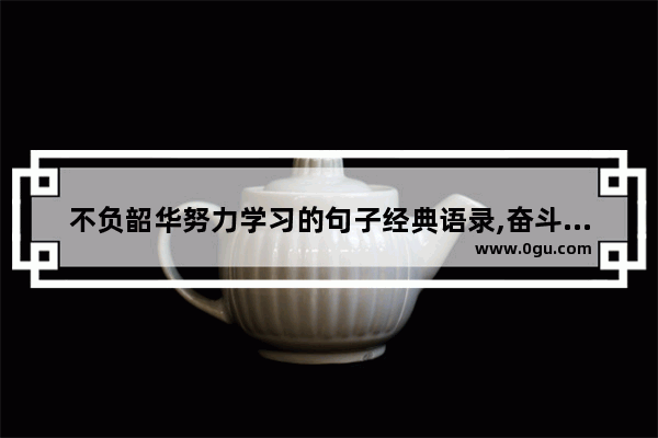 不负韶华努力学习的句子经典语录,奋斗的人生不躺平的句子
