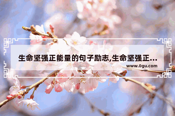 生命坚强正能量的句子励志,生命坚强正能量的句子励志