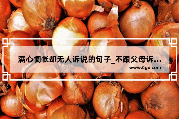 满心惆怅却无人诉说的句子_不跟父母诉苦的句子