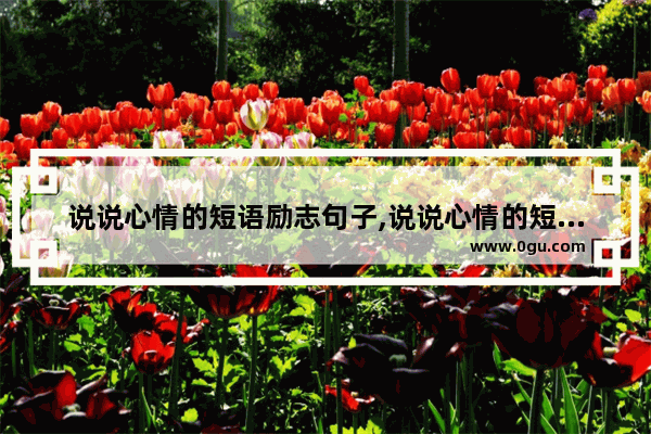 说说心情的短语励志句子,说说心情的短语励志句子