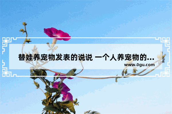 替娃养宠物发表的说说 一个人养宠物的感情句子