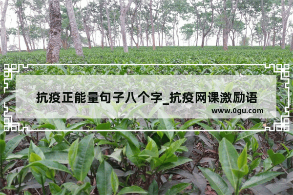 抗疫正能量句子八个字_抗疫网课激励语