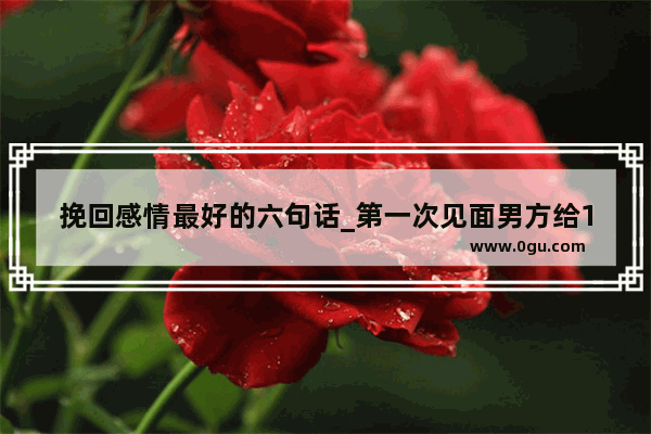 挽回感情最好的六句话_第一次见面男方给1001什么意思