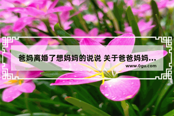 爸妈离婚了想妈妈的说说 关于爸爸妈妈伤感的句子