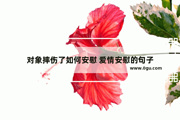 对象摔伤了如何安慰 爱情安慰的句子