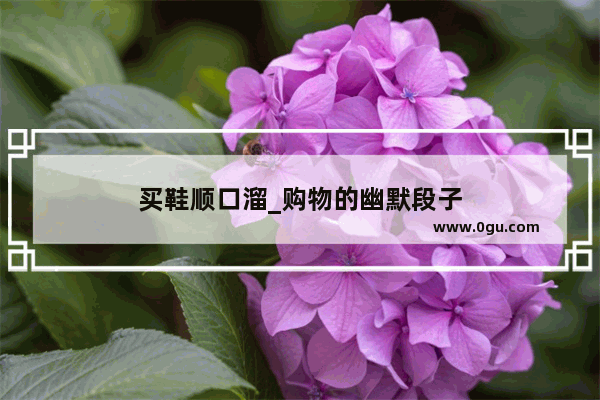 买鞋顺口溜_购物的幽默段子