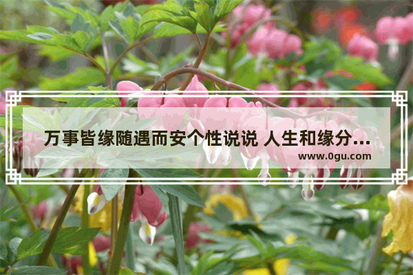 万事皆缘随遇而安个性说说 人生和缘分的句子说说心情