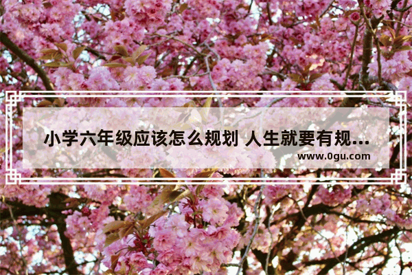 小学六年级应该怎么规划 人生就要有规划句子摘抄