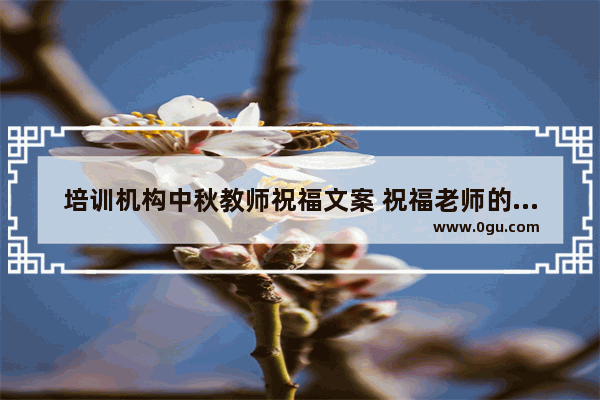 培训机构中秋教师祝福文案 祝福老师的中秋句子怎么写