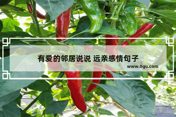 有爱的邻居说说 远亲感情句子