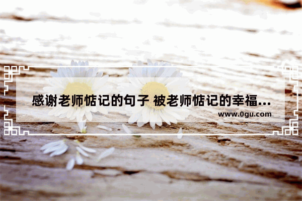 感谢老师惦记的句子 被老师惦记的幸福感句子