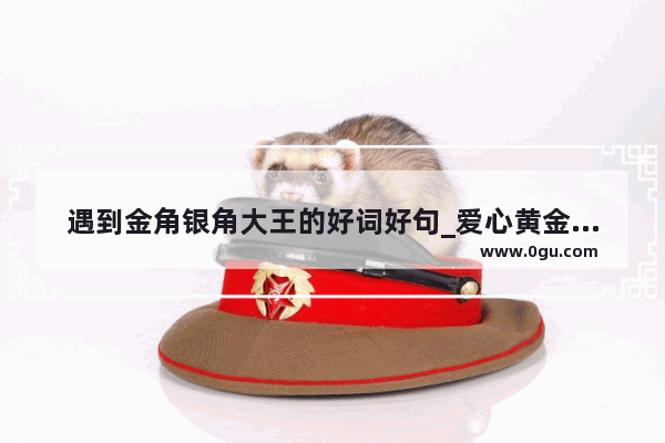 遇到金角银角大王的好词好句_爱心黄金项链文案