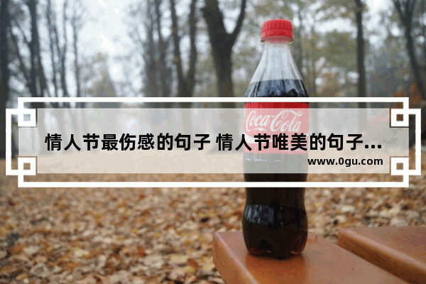 情人节最伤感的句子 情人节唯美的句子说说伤感