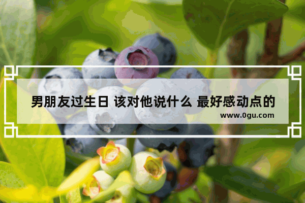 男朋友过生日 该对他说什么 最好感动点的,给男朋友写的生日句子暖心