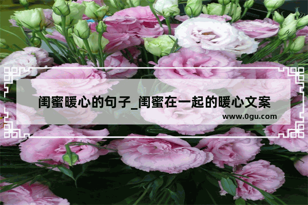 闺蜜暖心的句子_闺蜜在一起的暖心文案