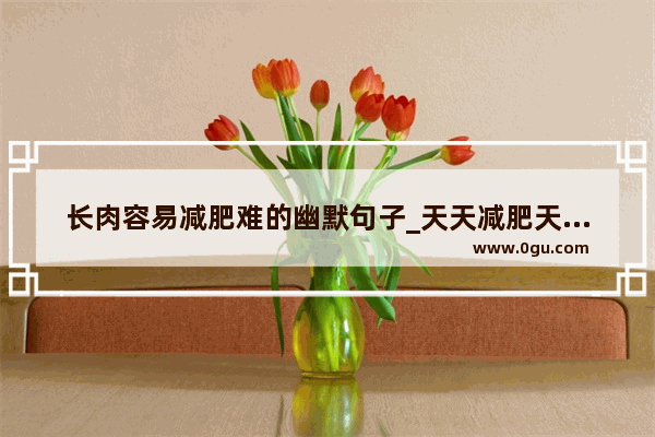 长肉容易减肥难的幽默句子_天天减肥天天肥的幽默句子
