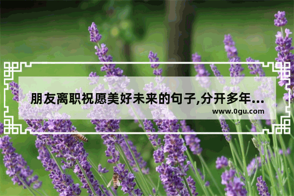 朋友离职祝愿美好未来的句子,分开多年后的伤感说说句子