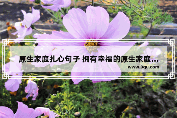 原生家庭扎心句子 拥有幸福的原生家庭的句子